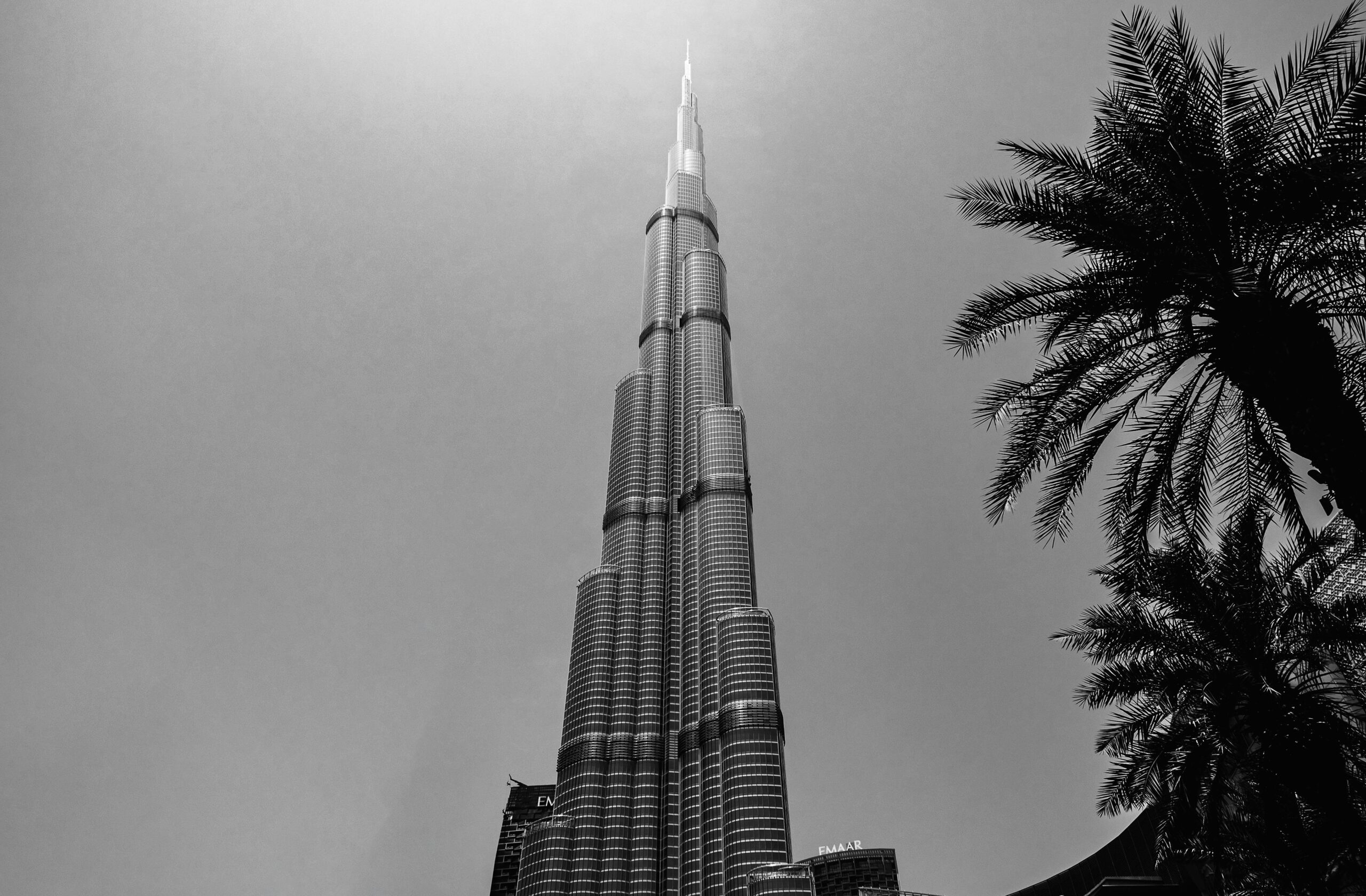 pexels-kirandeepsingh-13324659